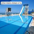 אלמוג מול הים