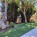 סוויטות Garden