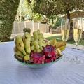 סוויטות Garden