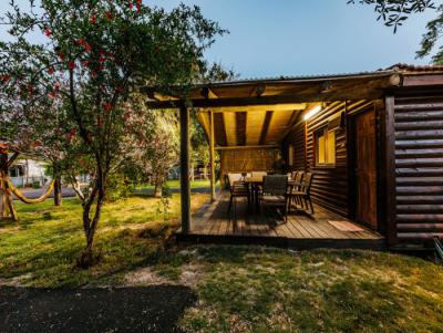 אהבה מול הים בדור