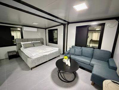 אקליפטוס בחורשה