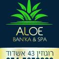 ALOE SPA אלוה ספא